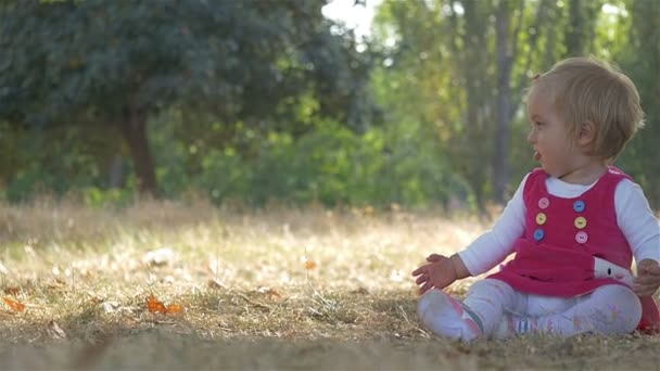 petite fille sur la nature 