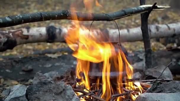 Bollitore da campeggio sul fuoco in un campeggio all'aperto Bollitore per il caffè mentre camping.in Angthong parco marino nazionale — Video Stock