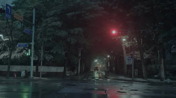 Walking Seoul Rainy Streets Evening — Stock Photo, Image