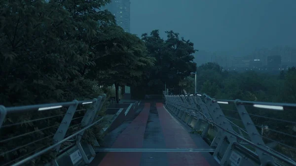 Berjalan Jalan Jalan Seoul Hujan Malam Hari — Stok Foto