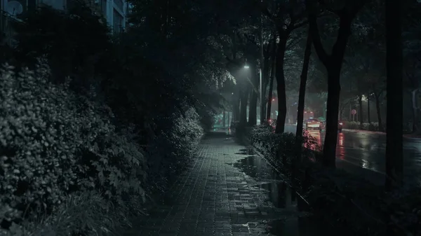 Spacer Deszczowych Ulicach Seulu Wieczorem — Zdjęcie stockowe