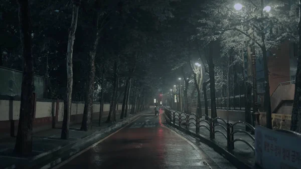 Promenader Seoul Regniga Gator Kvällen — Stockfoto