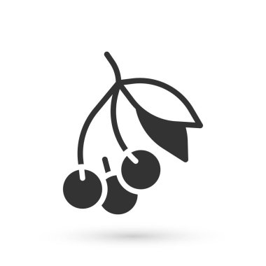 Gri Taze Yaz Böğürtlenleri ikonu beyaz arka planda izole edilmiş. Böğürtlen. Vektör