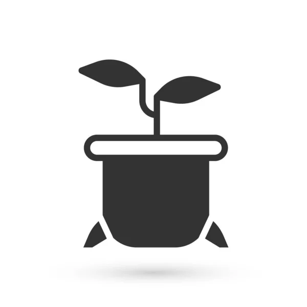 Plante grise en pot icône isolée sur fond blanc. Plante poussant en pot. Panneau végétal en pot. Vecteur — Image vectorielle