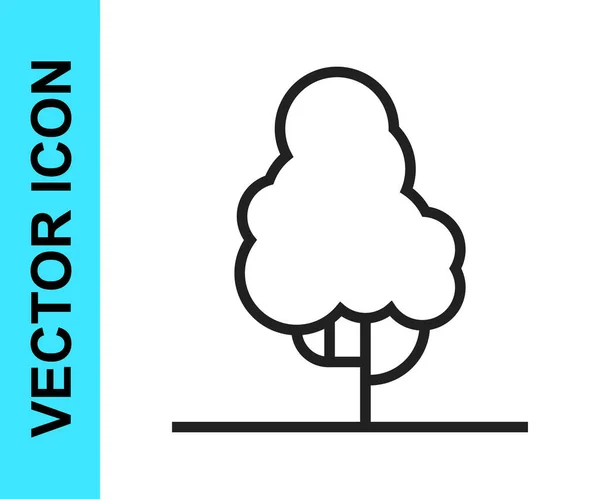 Schwarze Linie Fruchtbaum-Symbol isoliert auf weißem Hintergrund. Landwirtschaftliche Pflanze. Biolandwirtschaft. Obstgarten. Gartenthema. Vektor — Stockvektor