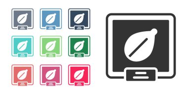 Beyaz arka planda izole edilmiş özel bir bitki simgesinin siyah tohumları. Simgeleri renklendirin. Vektör