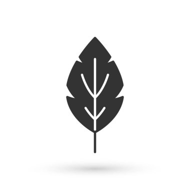 Gri Yaprak simgesi beyaz arkaplanda izole edildi. İşaret bırakıyor. Taze doğal ürün sembolü. Vektör