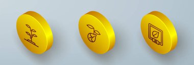 Isometric Line Sprout ve özel bitki ikonu tohumlarını ayarlayın. Vektör