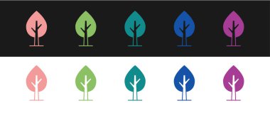 Ağaç simgesini siyah beyaz arkaplanda izole et. Orman sembolü. Vektör.