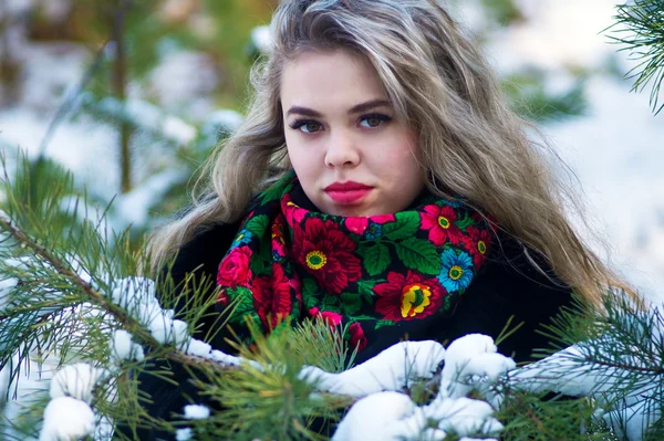Mooi meisje in winter kerst foto schieten op het park — Stockfoto
