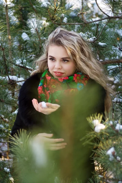 Mooi meisje in winter kerst foto schieten op het park — Stockfoto