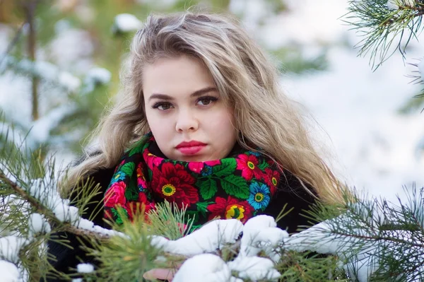 Mooi meisje in winter kerst foto schieten op het park — Stockfoto