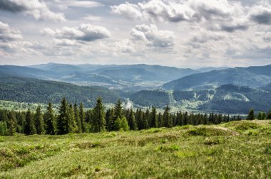 HDR Gösterim sırasında yokuş yukarı Makovytsya Ukrayna