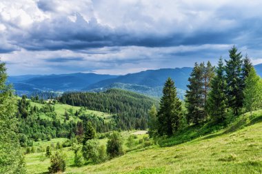 HDR Gösterim sırasında yokuş yukarı Makovytsya Ukrayna