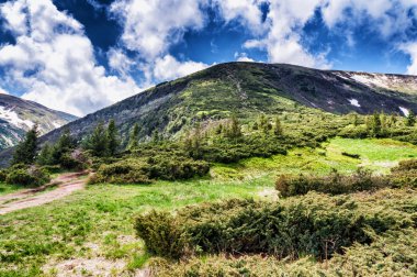 güzel dağ manzarası