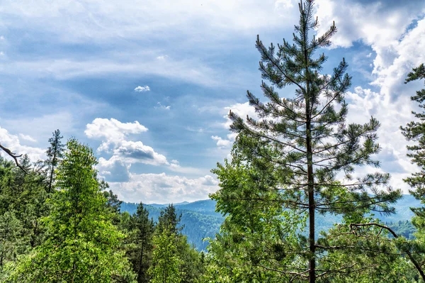 HDR Gösterim sırasında yokuş yukarı Makovytsya Ukrayna