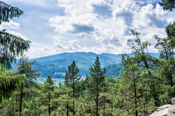 HDR Gösterim sırasında yokuş yukarı Makovytsya Ukrayna