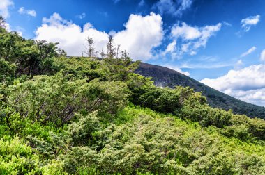 güzel dağ manzarası