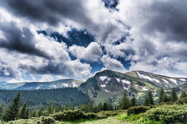 Berg arter på väg till Mount Hoverla — Stockfoto