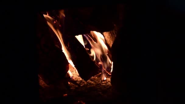 Brandhout brandt ruw. Donker mooi vuur achtergrond. — Stockvideo