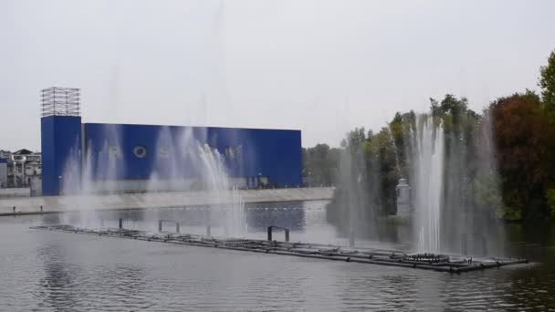 La planta se encuentra en el centro de Vinnytsia cerca de las fuentes. — Vídeo de stock