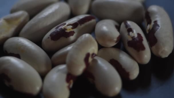 White bean seeds swirling on a black background. — Stock Video