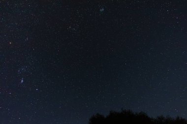 Uzun pozlu bir fotoğraf, aşağıdaki ufuk boyunca ince bir ağaç tepesi silueti ile kolayca tanınan Orion takımyıldızının yer aldığı sayısız yıldızla dolu muhteşem karanlık gece gökyüzünü yakalar..