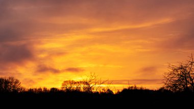 Şafak veya alacakaranlıkta alev alev yanan turuncu ve sarı renklerle dolu muhteşem bir gökyüzü. Yoğun aydınlık bulutlar, aşağıdaki kış ormanının siyah silüetiyle çarpıcı bir tezat oluşturuyor..