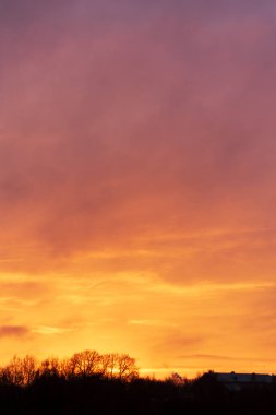 Siyah ağaç hatlarının üzerinde turuncu, kırmızı ve mor bulutlar olan dramatik bir akşam gökyüzünün dikey arkaplanı.