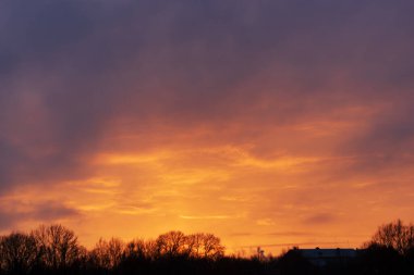 Alacakaranlık vakti dramatik mor bulutlar ile karanlık bir orman siluetinin üzerinde güzel turuncu gün batımı gökyüzü