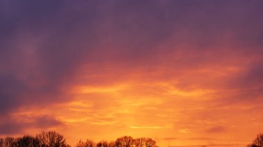 Canlı turuncu ışık ve karanlık mor bulutlarla dolu dramatik günbatımı gökyüzü alacakaranlıkta bir orman silueti üzerinde.