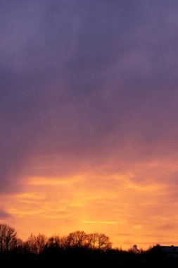 Günbatımı manzarasının büyüleyici dikey görüntüsü. Koyu mor bir gökyüzü, karanlık bir ağaç siluetinin üzerinde parlak turuncu bulutlara dönüşüyor..