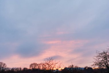 Yumuşak pembe ve mor bir ışıkla huzurlu bir pastel gün doğumu çıplak kış ağaçlarının üzerinden gökyüzüne yayılıyor ve sakin bir atmosfer yaratıyor.