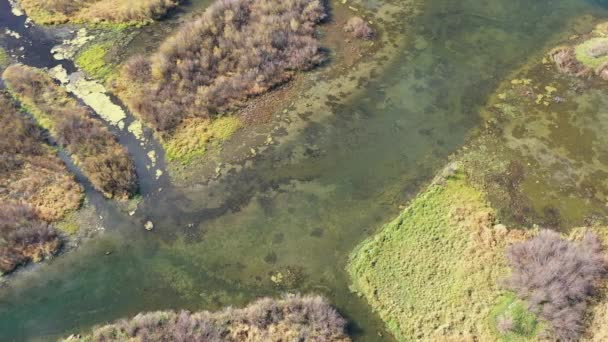 Flygfoto Tittar Ner Sumpvåtmarker Wyoming Tittar Det Gröna Landskapet Nedan — Stockvideo