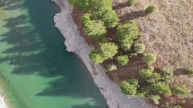 Wyoming 'deki Yılan Nehri' ndeki ağaç gölgelerine bakan hava manzarası..