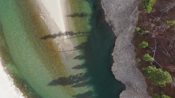 Stíny Stromů Vrhané Přes Řeku Had Leteckého Pohledu Jackson Canyon — Stock video
