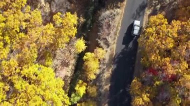 Utah 'ta düşerken ağaçların arasından geçen aracın tepeden aşağı bakışı..