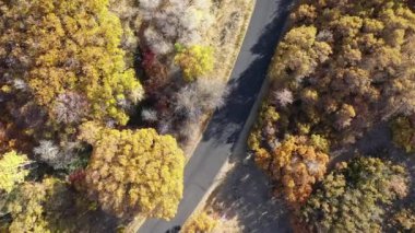 Utah 'ta düşüş sırasında renkli ağaçlarla çevrili yere doğru yavaşça ilerleyen hava manzaralı yola bakıyorum..