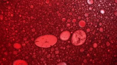 Kırmızı kabarcıklar makro görünümde daireler çiziyor.