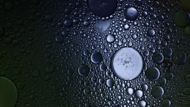 Macro Vue Des Bulles Comme Ils Changent Couleurs Visualisation Des — Video