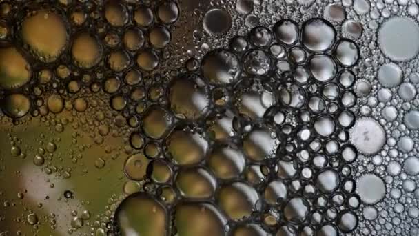 Bubbles Popping Liquid Mixture Water Oil Macro View — Stock Video