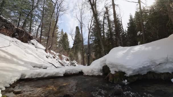 看着下游的河流在峡谷里流淌穿过犹他州荒原上的一片森林里的雪 — 图库视频影像