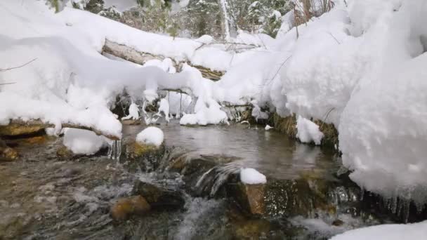 Rio Montanha Que Flui Sob Neve Profunda Dia Ensolarado Deserto — Vídeo de Stock