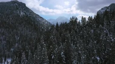 Karla kaplı çam ağaçlarının üzerinden uçarak kanyonun aşağısındaki karlı dağı göstererek Utah 'taki Timpanogos' a bakıyorlar..