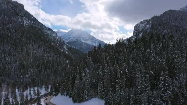 Volando Sobre Bosque Pinos Mirando Por Cañón Montaña Cubierta Nieve — Vídeos de Stock