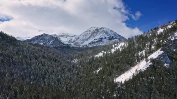 Voando Sobre Cânion Inverno Direção Montanha Coberta Neve Acima Floresta — Vídeo de Stock