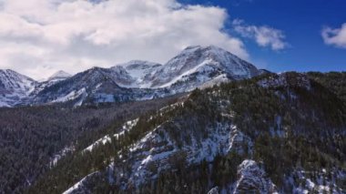 Utah 'ta kışın çam ağaçlarıyla kaplı karlı dağların etrafında uçarak..