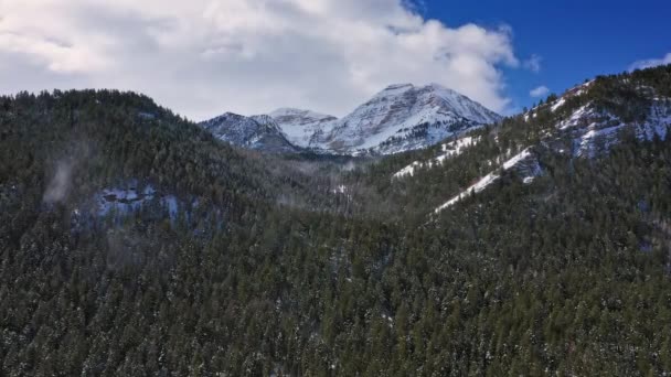 Volando Hacia Bosque Pinos Mientras Viento Arremolina Nieve Través Los — Vídeos de Stock