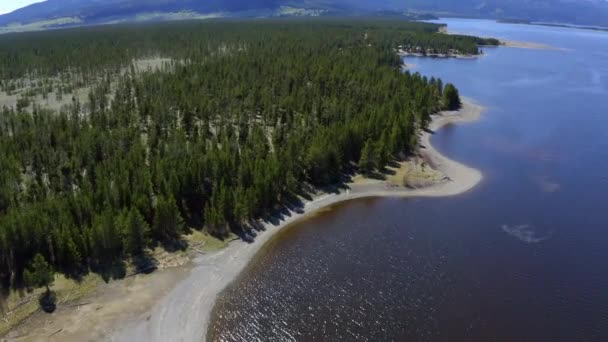 Nézi Partvonalra Légi Kilátás Mentén Hebgen Lake Napsütéses Napon Montana — Stock videók
