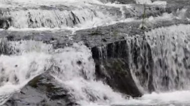 Sweet Creek Oregon 'da nehir manzaralı kayalıklardan aşağı çağlayan su..